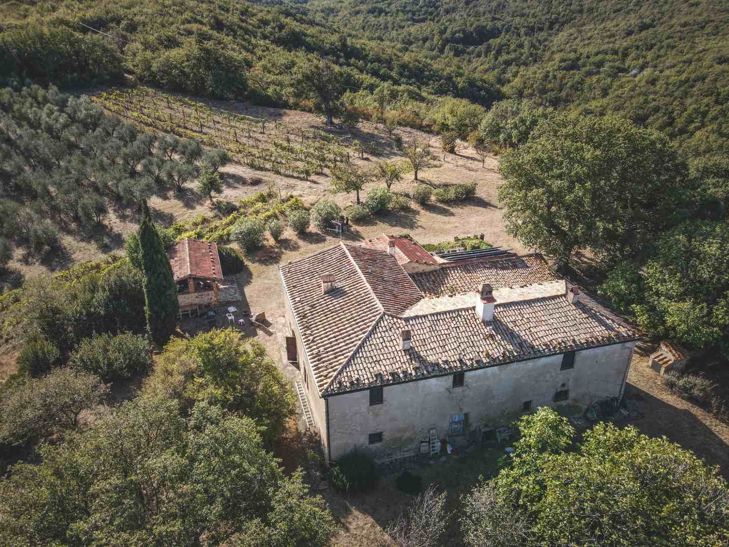 Quanto vale davvero un agriturismo? Il futuro di 26.360 aziende italiane
