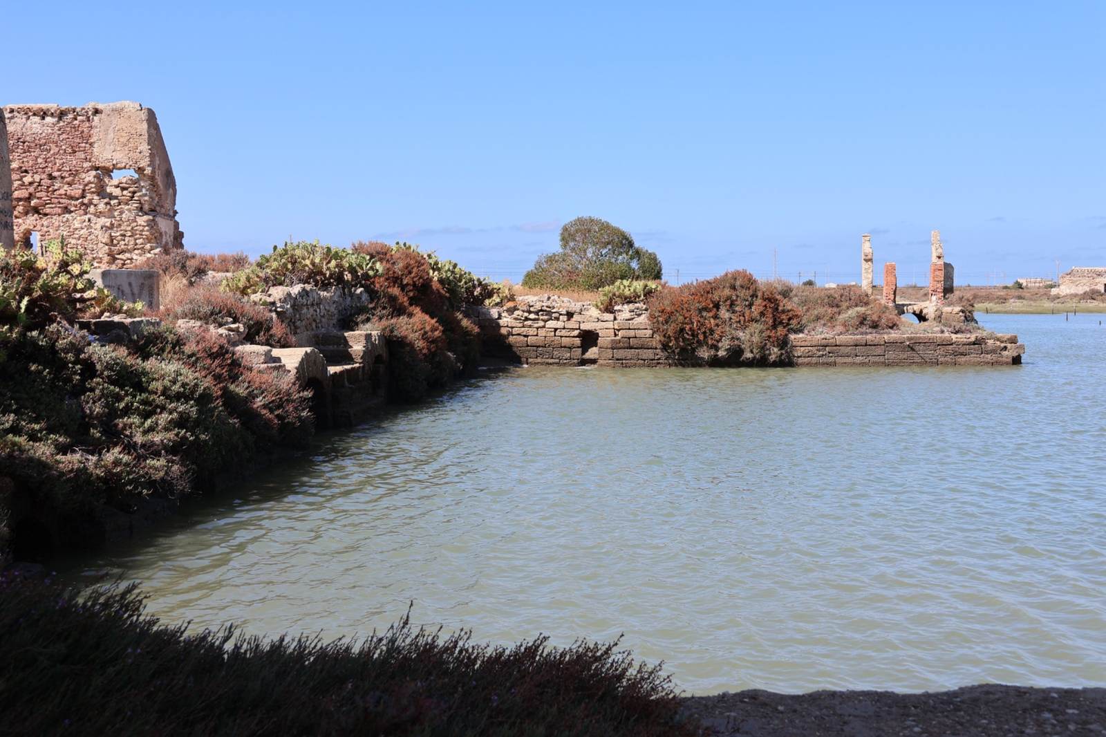 Tarquinia: 89 Rooms from €534,000 — But the Auction Price Is Almost the Least Important Number